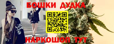 МДПВ Пушкино