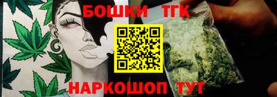 МДПВ Пушкино
