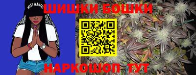 МДПВ Пушкино