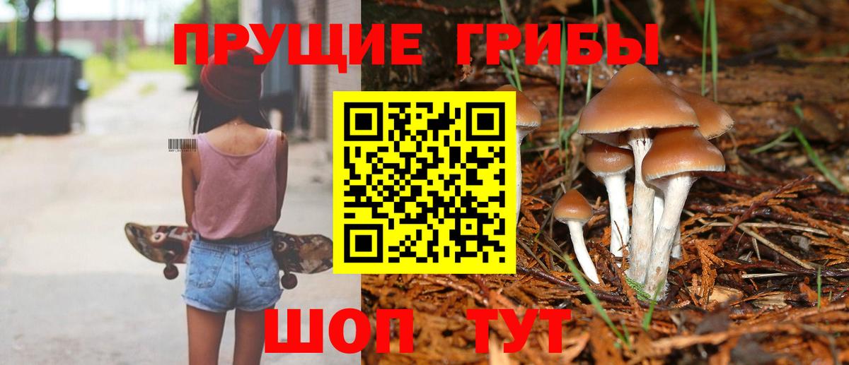 Северск  Псилоцибиновые грибы Psilocybine cubensis  Вход с VPN  Галлюциногенные грибы ЛСД 